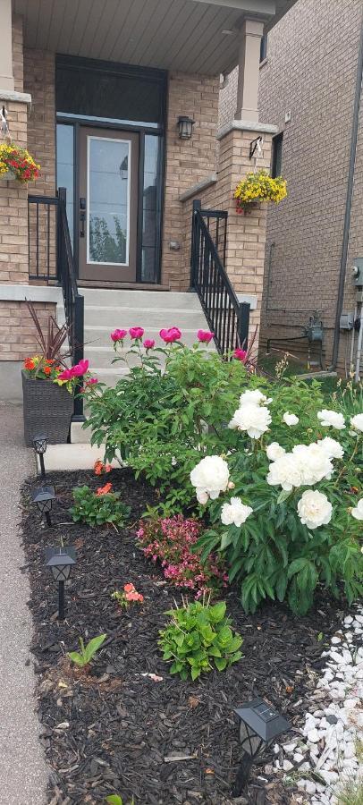 Séjour chez l'habitant Jahsavvy's Nest Hamilton